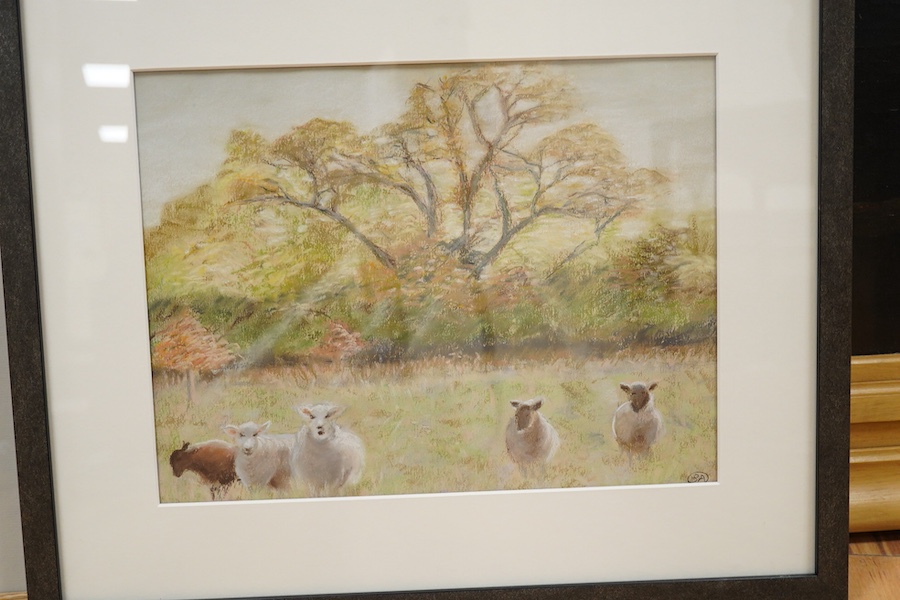 Sue Arnold (Contemporary) two pastels on paper, ‘Sheep, low sun’ and ‘Dark reflections’, one monogrammed, one signed verso, largest 29 x 38cm. Condition - good